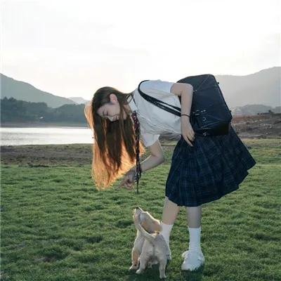 青花倾城夜未央